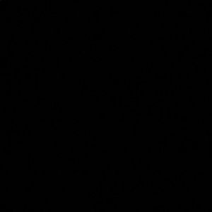 Meet your Posher, Aisha